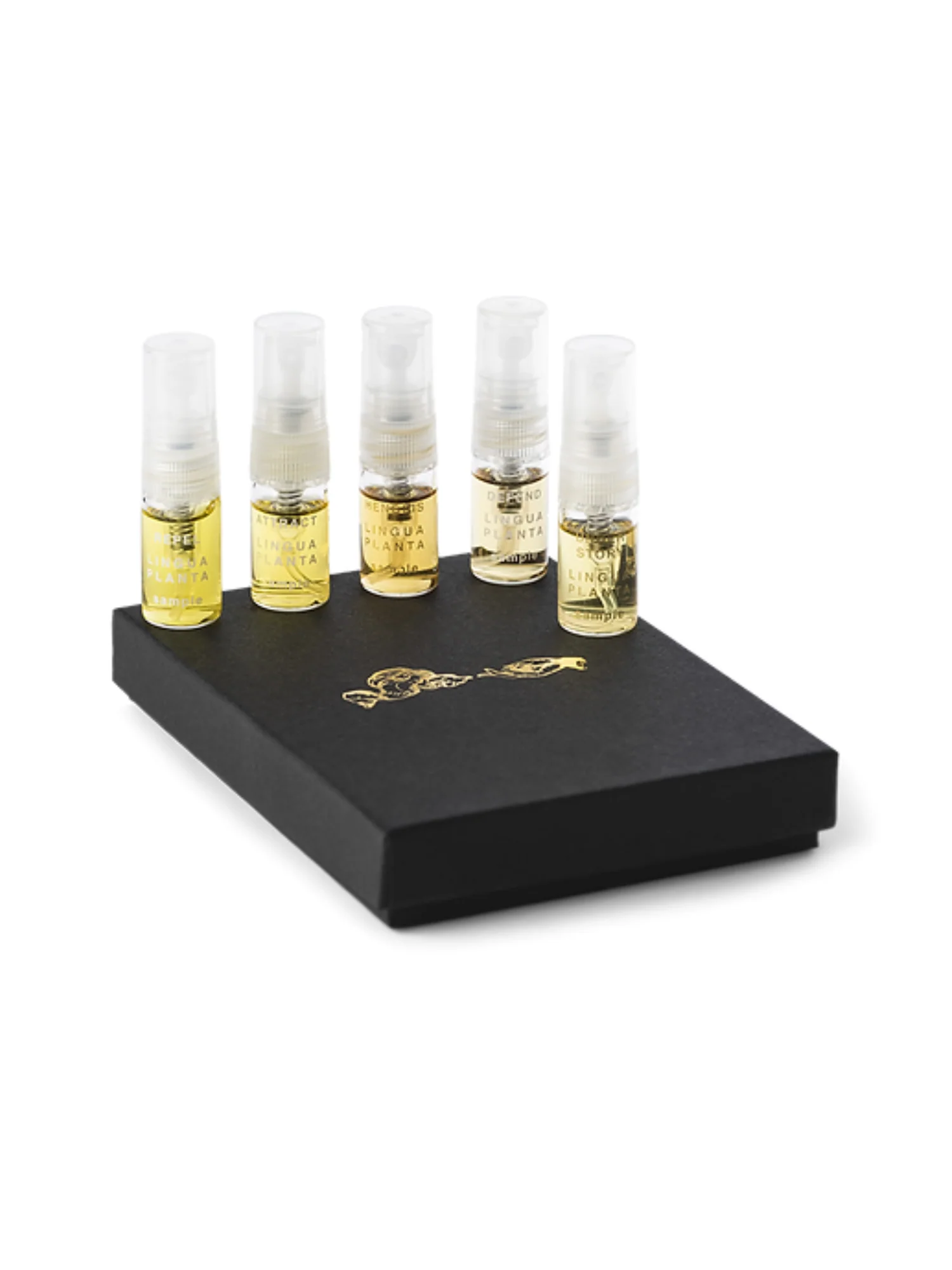 Discovery Kit - Image 2