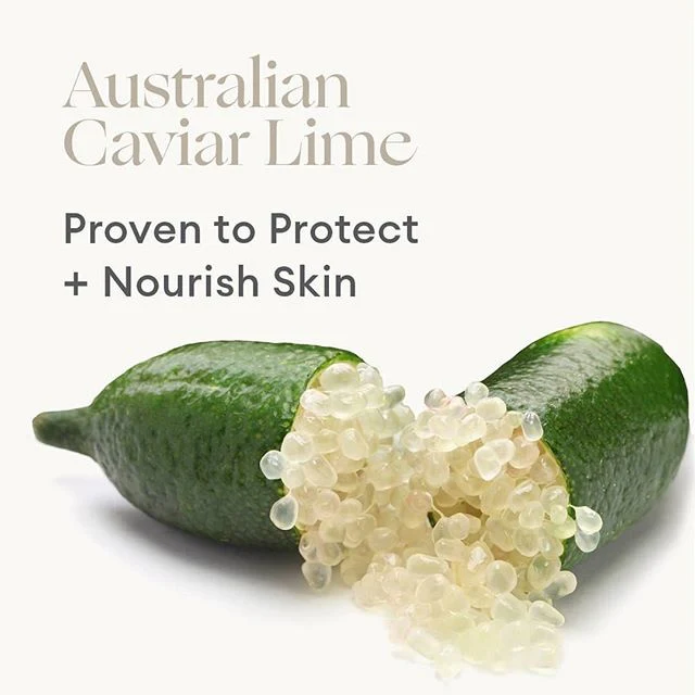 Phytofuse Renew Caviar Lime Exfoliator - Image 5
