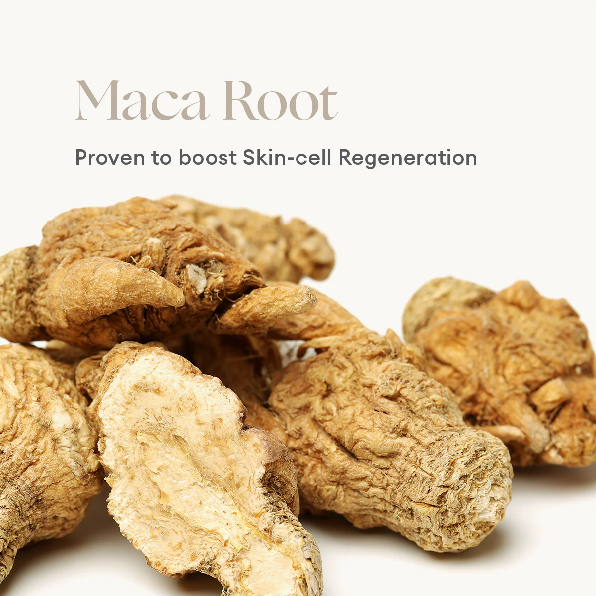 Phytofuse Renew Maca Root RICH Dagcrème - Image 4