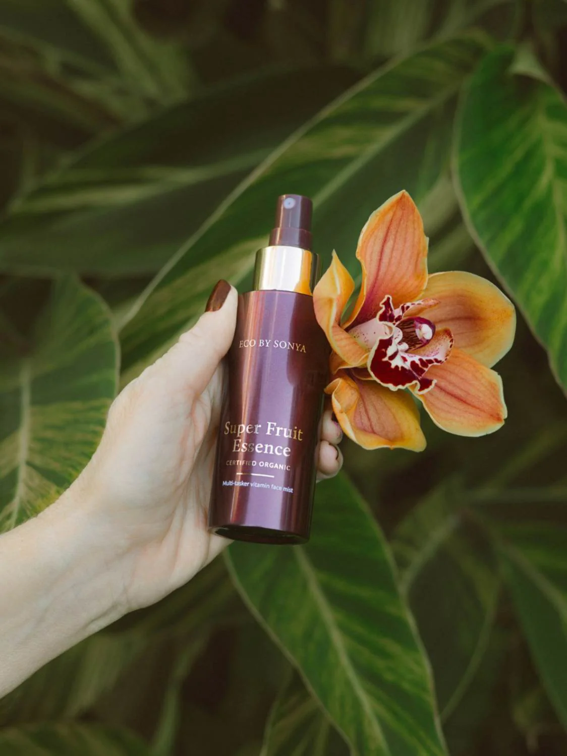 Super Fruit Essence - Image 3